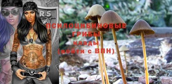 сатива Балахна
