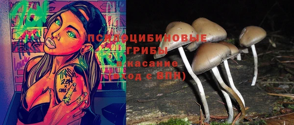 сатива Балахна