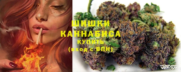сатива Балахна