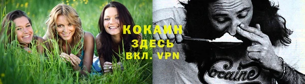 винт Баксан